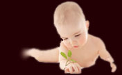 header image 2
